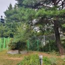 더플레이스디 이미지