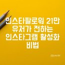 인스타팔로워 21만 유저가 전하는 인스타그램 활성화 비법