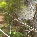 밭두렁농원 이미지