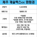 캐슬렉스CC 이미지