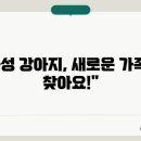 컴투펫 이미지