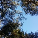 조산공원길 이미지