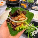 군산수족관 | 군산수송동고기집 꿀꿀이수족관 고기+스키다시 완벽 조합(ง •_•)ง 방문후기 🐷🐟