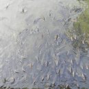 성내7교 주변 이미지