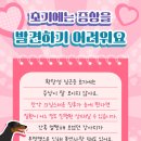 안양펫동물병원 이미지
