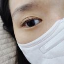 성북구 한성대 속눈썹펌 잘하는 곳 바비브로우하우스 다녀온 후기