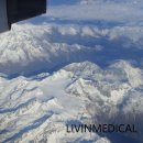 리빈메디컬 이미지