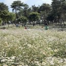 다목적광장 화장실 이미지
