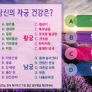 초이스궁 이미지