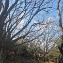 대성목장 | 제주 스냅사진 &amp; 숨은 명소, "천미천" 탐방 후기