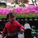 그린비브레인어린이집 이미지