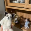 마음사진공방 이미지