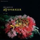 교암다이브리조트 이미지