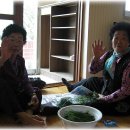 한정리 마을회관 Daum카페