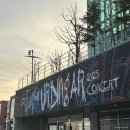 꿈꾸러기 | 251212 | 이승윤 콘서트 URDINGAR 첫콘 후기 (독감 걸려놓고 이승윤 단콘 간 승친놈이 나? ,,✨)