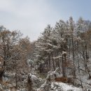 손골공원 이미지