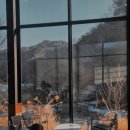 숲속쉼 | [강원도 홍천 여행] 숲속에서 즐기는 진정한 쉼, '써라운드 슬로우' 후기