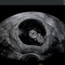 연세맘스그린여성의원 이미지