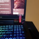 270-4038 | MSI GS73VR pro 4k 후기 (2)