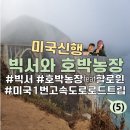 미국신혼여행 미국 1번국도 로드트립 1박 2일 (5) 빅서에서 샌프란시스코까지
