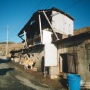 용호농장 이미지