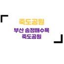죽도 이미지