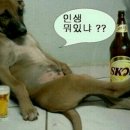 고목다방 이미지