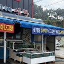 민지식당 - 원주시 | 태안 몽산포 맛집 민지네식당 해산물 가득한 해물칼국수 찐맛집 내돈내산