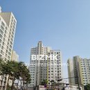 신도시센텀부동산중개 이미지