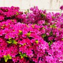 초원가든 이미지