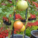 유석화유치원 이미지