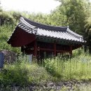박응훈효자문 Daum카페
