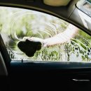 이덕기카세차장 이미지