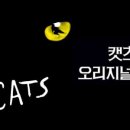 (공연) 캣츠 오리지널 내한공연1 이미지