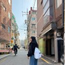 11650-16-13-1 | 251109 고척스카이돔 316구역 C열 13 14 15 16번 좌석 후기