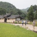 유림문화 이미지