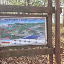 해달푸드 | 경기도 화성 벚꽃 초보 등산 가볼만한곳 서봉산 주차장 소요시간