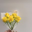 현대꽃집 티스토리