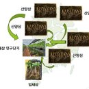 농업법인(유)지리산잎새삼 이미지