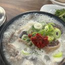 [대전 갈마동 맛집] 모둠국밥 &#39;모도리 국밥&#39; (내돈내산 후기)