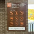 지에스25원앙베스트점 | 화담숲 예약 후기 (단풍 현황, 주차, 리프트, 모노레일, 음식물 반입)