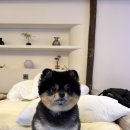 조산1길 이미지