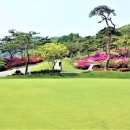 근영농산(주)양주컨트리클럽 이미지