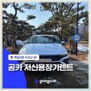 장기렌트카(주) 이미지