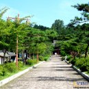 별빛달빛 이미지