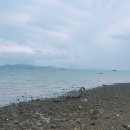송소횟집