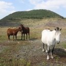 동산 새마을작은도서관 이미지