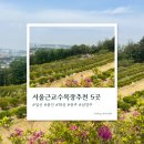 ER-400[화성광주고속도로]-하-51 | 서울근교수목장 추천 리스트 :: 직접 둘러보고 정리한 5곳 가격과 장단점까지