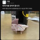동정카정비 | 2026 상반기 본 영화 정리