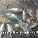 달빛좌대 이미지